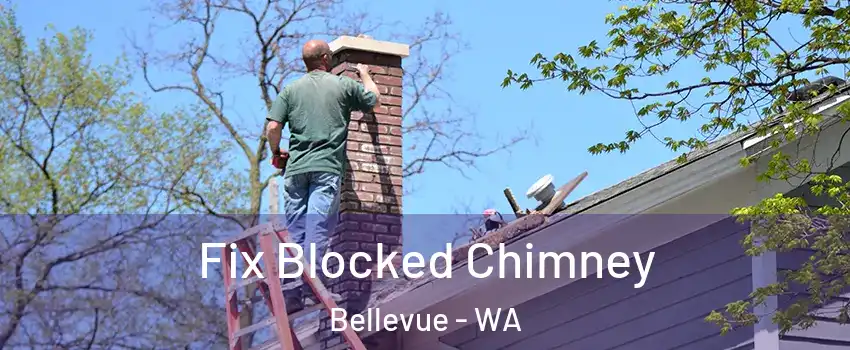  Fix Blocked Chimney Bellevue - WA