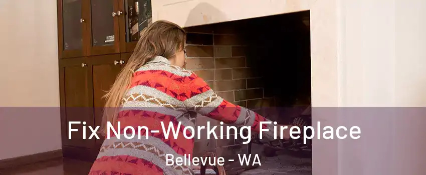  Fix Non-Working Fireplace Bellevue - WA