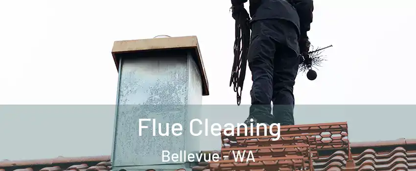  Flue Cleaning Bellevue - WA