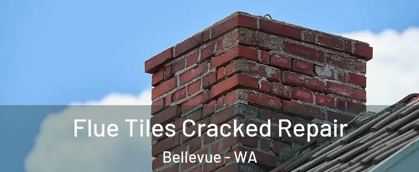  Flue Tiles Cracked Repair Bellevue - WA
