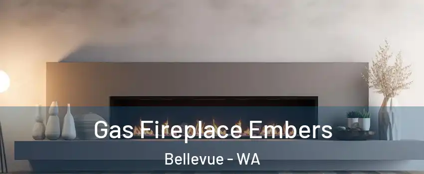  Gas Fireplace Embers Bellevue - WA
