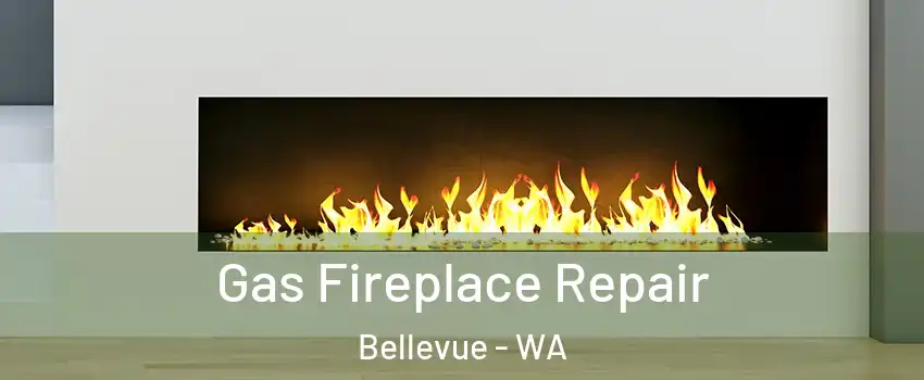  Gas Fireplace Repair Bellevue - WA