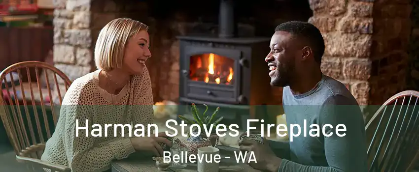  Harman Stoves Fireplace Bellevue - WA