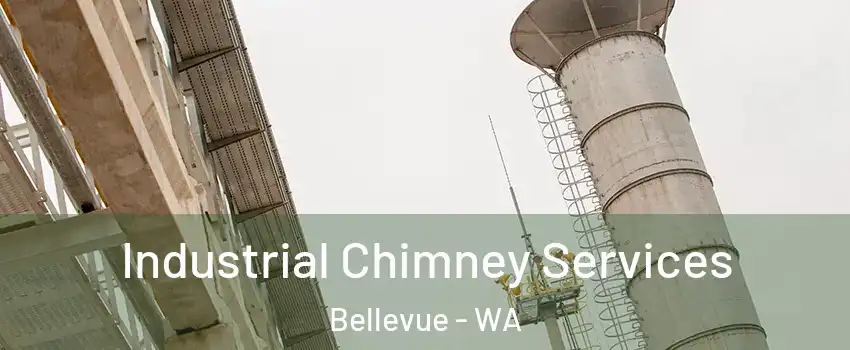  Industrial Chimney Services Bellevue - WA