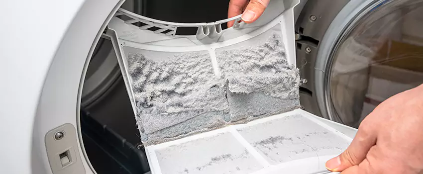 Best Dryer Lint Removal Company in Bellevue, Washington