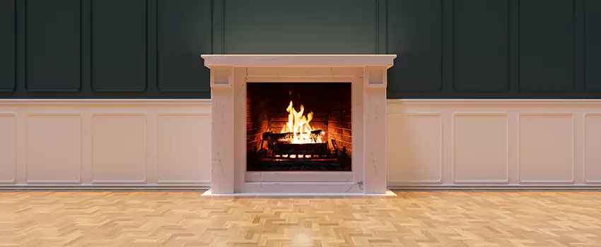 Napoleon Electric Fireplaces Inspection Service in Bellevue, Washington