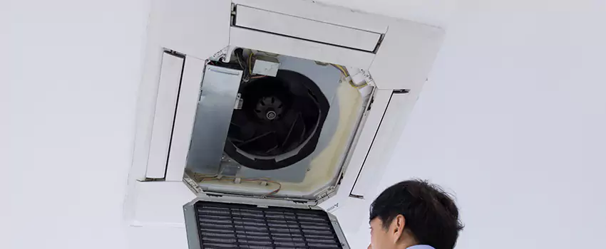 Benefits of Professional Air Duct Cleaning in Bellevue, Washington
