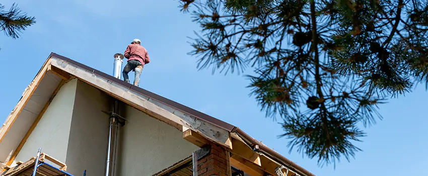 Birds Removal Contractors from Chimney in Bellevue, WA