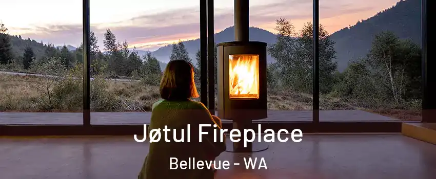  Jøtul Fireplace Bellevue - WA