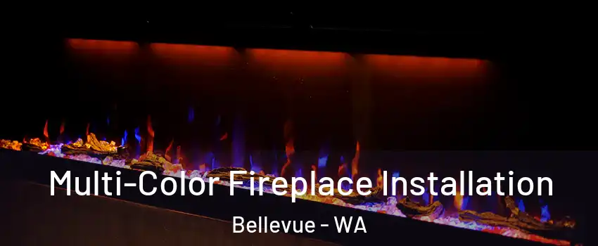  Multi-Color Fireplace Installation Bellevue - WA