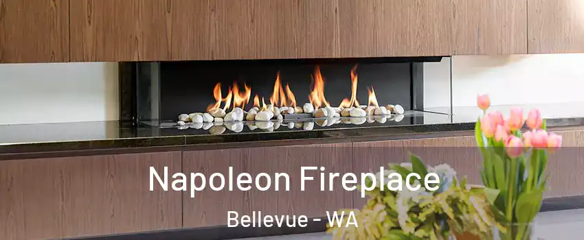  Napoleon Fireplace Bellevue - WA