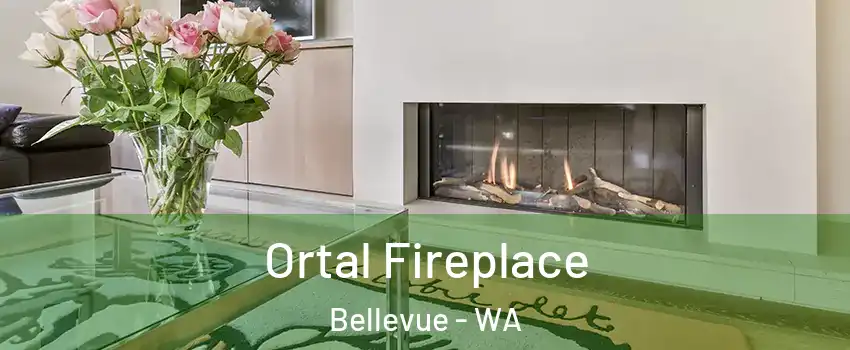 Ortal Fireplace Bellevue - WA