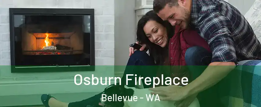  Osburn Fireplace Bellevue - WA