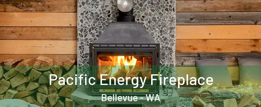  Pacific Energy Fireplace Bellevue - WA