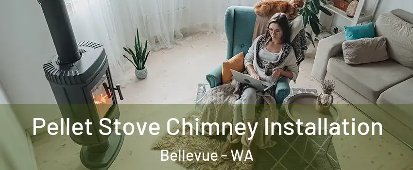  Pellet Stove Chimney Installation Bellevue - WA