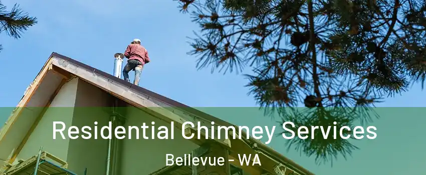  Residential Chimney Services Bellevue - WA