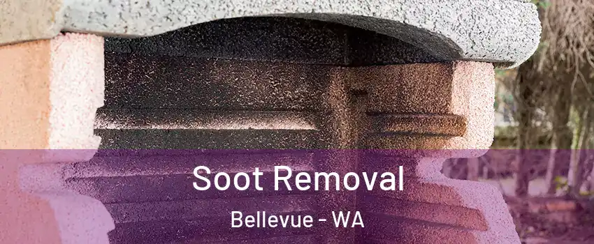  Soot Removal Bellevue - WA