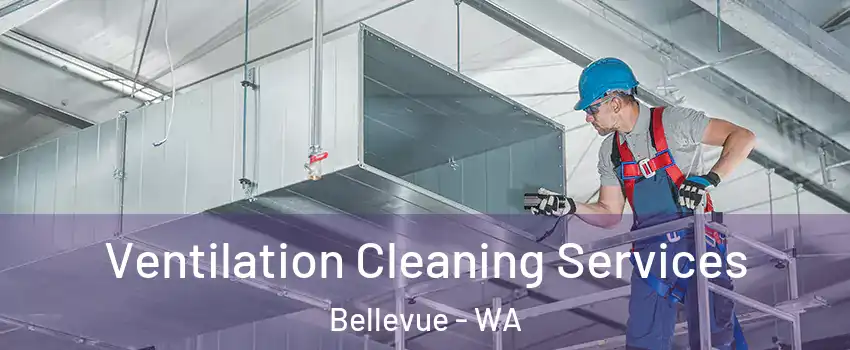  Ventilation Cleaning Services Bellevue - WA
