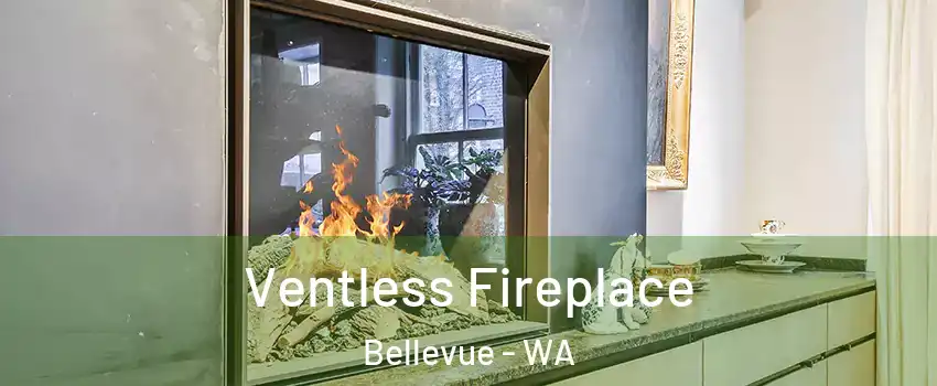  Ventless Fireplace Bellevue - WA