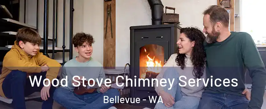  Wood Stove Chimney Services Bellevue - WA