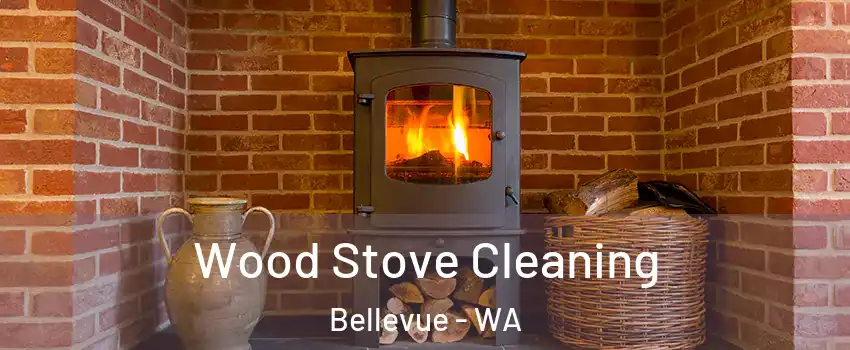 Wood Stove Cleaning Bellevue - WA